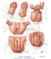 Porno por el muchacho con los pequeños miembros